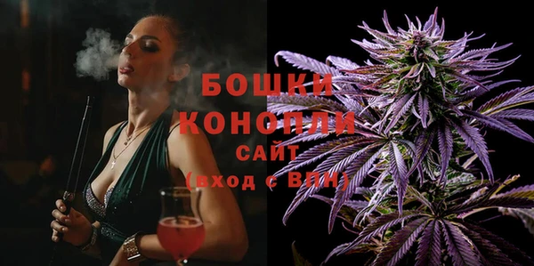 бошки Алексин