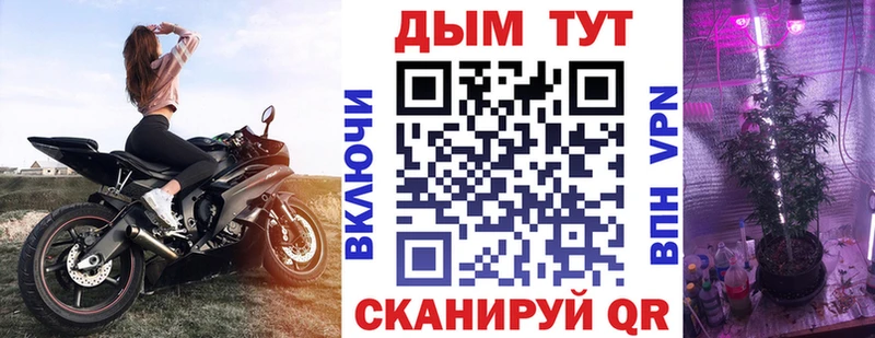 omg сайт  Почеп  Бошки Шишки AK-47 